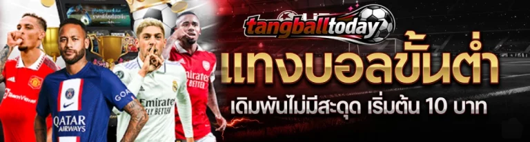 เว็บ พนันบอลที่ดีที่สุด